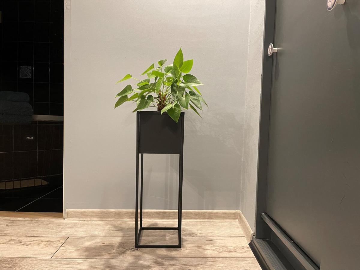 Apartamenty Pod Uwalonym Debem Jezow Sudecki Kültér fotó