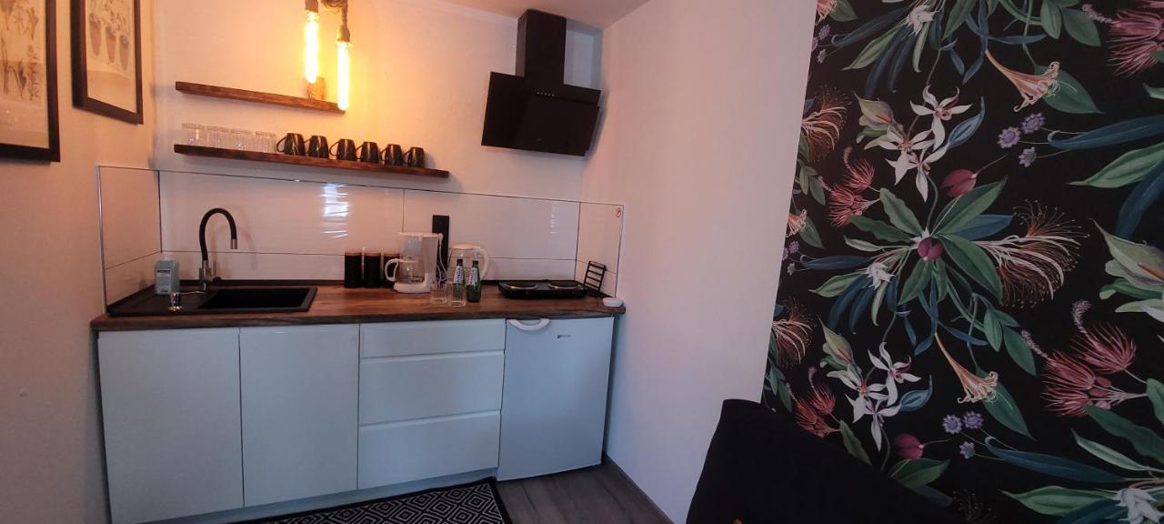Apartamenty Pod Uwalonym Debem Jezow Sudecki Kültér fotó